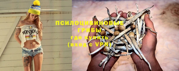 прущие крисы Алексеевка